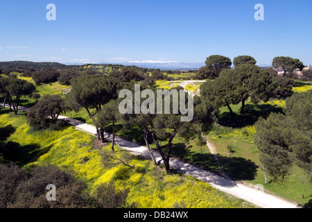 Casa de Campo, Madrid, Spain Stock Photo