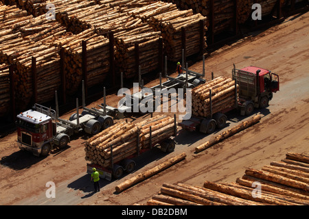 Logging truck delivering export logs to Port Chalmers, Dunedin, Otago, South Island, New Zealand Stock Photo