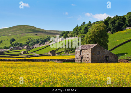Barn and Buttercup Meadows at Gunnerside in Swaledale Yorkshire Dales England Stock Photo