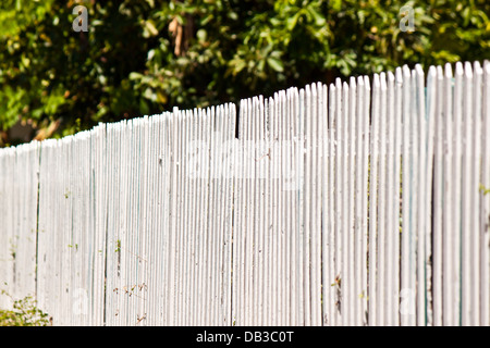 White picket fence Stock Photo