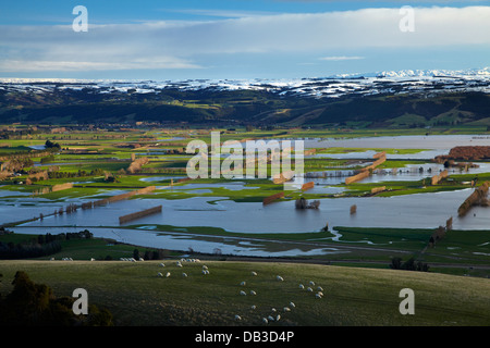 Flooded farmland on Taieri Plains, and snow on Maungatua, near Mosgiel, Dunedin, South Island, New Zealand Stock Photo