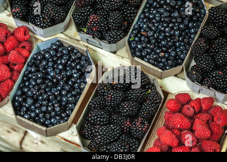 Different berries lay on the counter in paper boxes Stock Photo