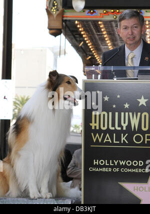 Lassie' Owner Files $1 Million Lawsuit Against TV Dog Commercial (Video) –  The Hollywood Reporter