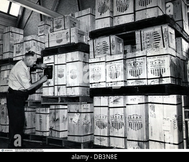 postwar period, reconstruction, European Recovery Program (ERP), boxes are being marked, Frankfurt on the Main, West Germany, circa 1950, Additional-Rights-Clearences-Not Available Stock Photo