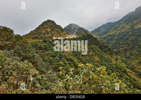 cloud forest of La Siberia, Bolivia, South America Stock Photo