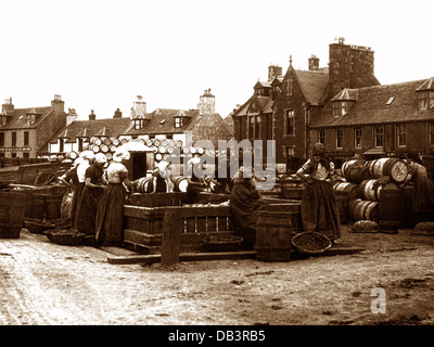 Stornoway Isle of Lewis Gutting Herring early 1900s Stock Photo