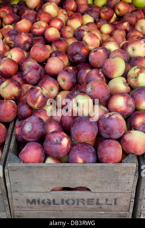 Box with organic apples for sale on Union Square greenmarket, New York City Stock Photo