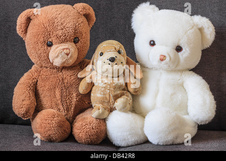 Cute old teddy bears and dog on couch (three) Stock Photo