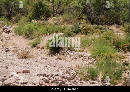 June 14, 2013 - Lukeville, Arizona, United States - The southernmost ...