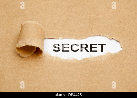 The word Secret appearing behind torn brown paper. Stock Photo