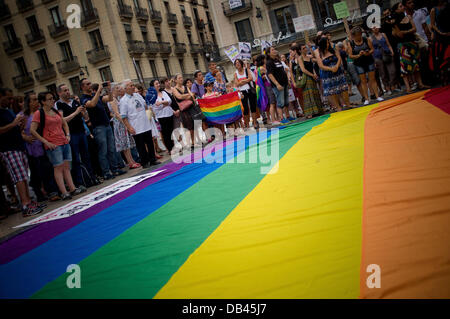 Barcelona, Spain. 23rd July, 2013. Two children holding a small flag with the colors of the rainbow (symbol of the gay community) opposite another giant flag during a rally in the Town Hall of Barcelona to protest the Spanish government's new law that aims to keep out of assisted reproduction single women and gay couples. Credit:   Jordi Boixareu/Alamy Live News Stock Photo