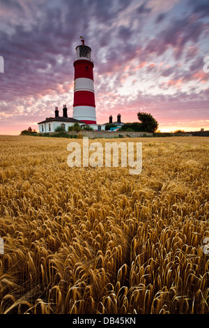 Happisburgh light house in a field of barley at sunset Stock Photo