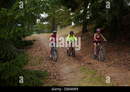 Cyclists on Alps 2 Ocean cycle trail, near Lake Pukaki, Mackenzie Country, Canterbury, South Island, New Zealand Stock Photo