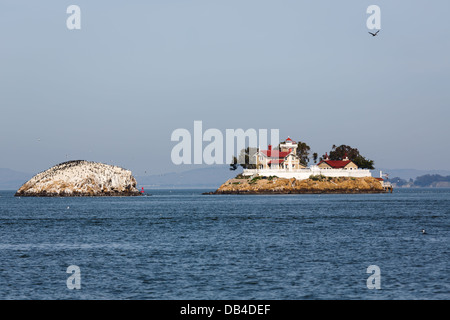 Colorful view of The Brothers Island light house in San Franciso Bay at dawn from a sailboat