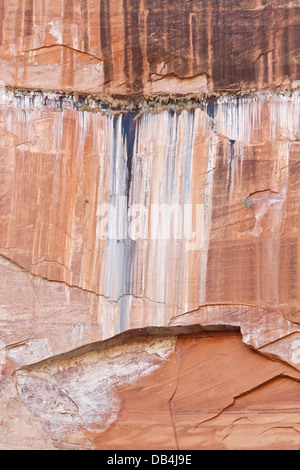 Detail of a weathered cliff face in Zion National Park, Utah. Stock Photo