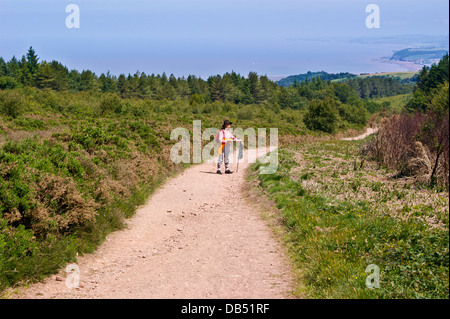 A walker looking at a map on the Macmillan Way West long distance footpath near Minehead, Somerset Stock Photo