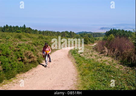 A walker on the Macmillan Way West long distance footpath near Minehead, Somerset Stock Photo