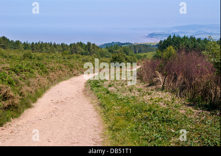 Macmillan Way West long distance footpath near Minehead, Somerset Stock Photo