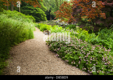 A gravel path leads to a wooden bridge cloaked in wisteria within the Wild Garden, Cottesbrooke Hall, Northamptonshire, England Stock Photo