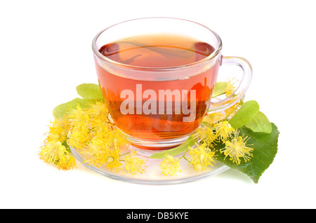 Two cups with herbal tea and linden flowers on a white background Stock Photo