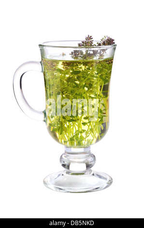 Herbal green tea in cup with fresh thyme flowers on a white background Stock Photo