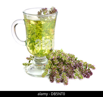 Herbal green tea in cup with fresh thyme flowers on a white background Stock Photo