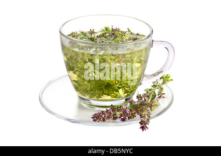 Herbal green tea in cup with fresh thyme flowers on a white background Stock Photo