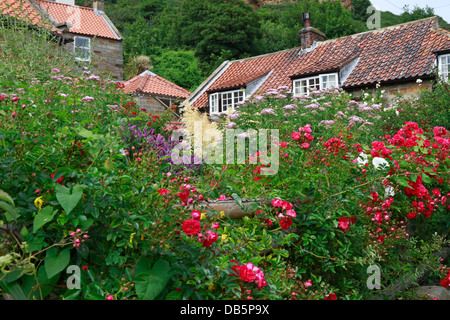 Cottages and gardens in Runswick Bay, North Yorkshire, North York Moors National Park, England, UK. Stock Photo