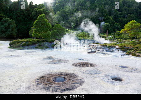 Cooking holes in the ground near the hot springs at Furnas lake Stock Photo