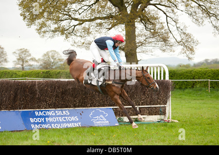 Horse rider dragged by horse Stock Photo