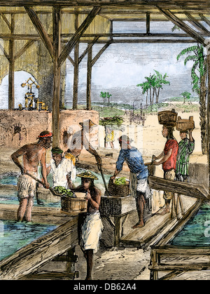 Chinese laborers working in a sugar factory in Cuba, 1872. Hand-colored woodcut Stock Photo