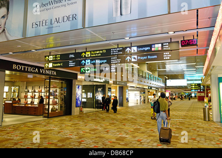 Changi International Airport, Singapore. Stock Photo