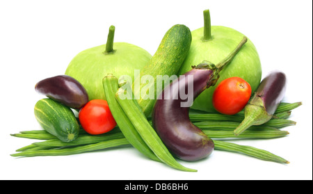 Fresh vegetables – Bottle gourd, cucumber, tomato, moringa, okra and eggplant Stock Photo