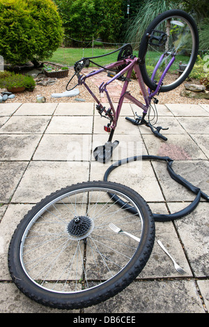 Bicycle puncture repair on garden patio Stock Photo