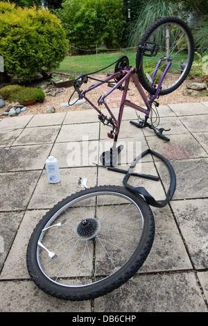 Bicycle puncture repair on garden patio Stock Photo