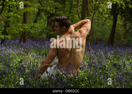A male model sitting in a lavender field. Stock Photo