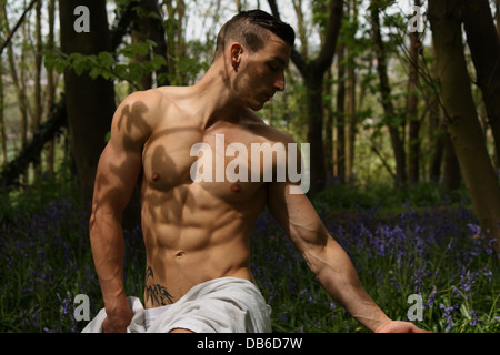 A male model posed in a lavender field. Stock Photo