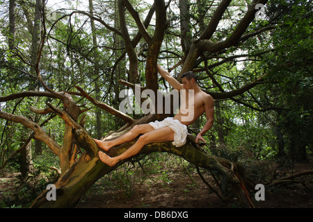 A male model sitting in a tree. Stock Photo