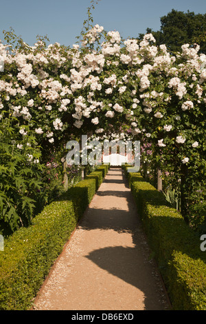 Rose covered archways in the walled garden at Mottisfont Abbey Hampshire Stock Photo