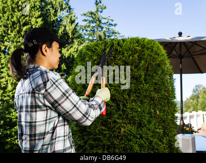 Photo of mature woman trimming the hedges with patio in background Stock Photo