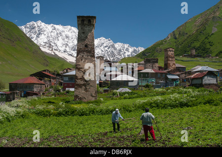 Tending crops in Ushguli, Europe's highest permanently-inhabited village Stock Photo