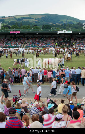 Llanelwedd (Nr. Builth Wells), Wales, UK. 24th July 2013. Prize Winning Stock Parade in The Main Ring of The Royak Welsh Showground. Credit:  Graham M. Lawrence/Alamy Live News.