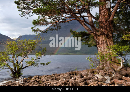 Rainbow Over Loch Maree, Wester Ross, Scotland. Stock Photo