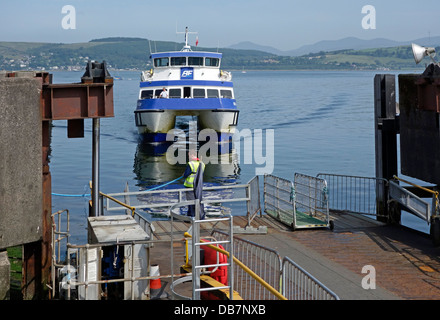 Passenger ferry Ali Cat operated by Argyll Ferries arrives at Gourock terminal Scotland from Dunoon in Argyll & Bute Stock Photo