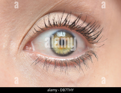 close up of human eye Stock Photo