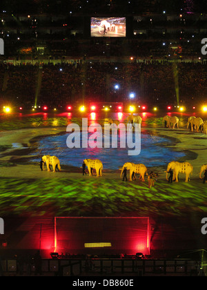 closing ceremony final World Cup Soccer 2010 FNB Stadium in Soweto during 2010 FIFA World Cup Soccer in South Africa Stock Photo