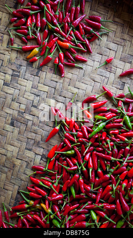 Small red hot chillies at a food market in Kota Kinabalu, Sabah, Malaysia Stock Photo