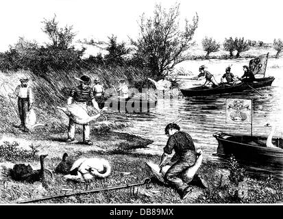 custom, Swan Upping on the Thames, wood engraving, 'Illustrated Sporting and Dramatic News', 1875, Additional-Rights-Clearences-Not Available Stock Photo