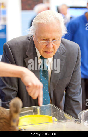 Sir David Attenborough Sir David Attenborough Officially Opens ...