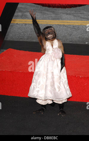 Monkey Crystal Los Angeles Premiere of 'The Hangover Part II' held at Grauman's Chinese Theatre - Arrivals Hollywood, California - 19.05.11 Stock Photo